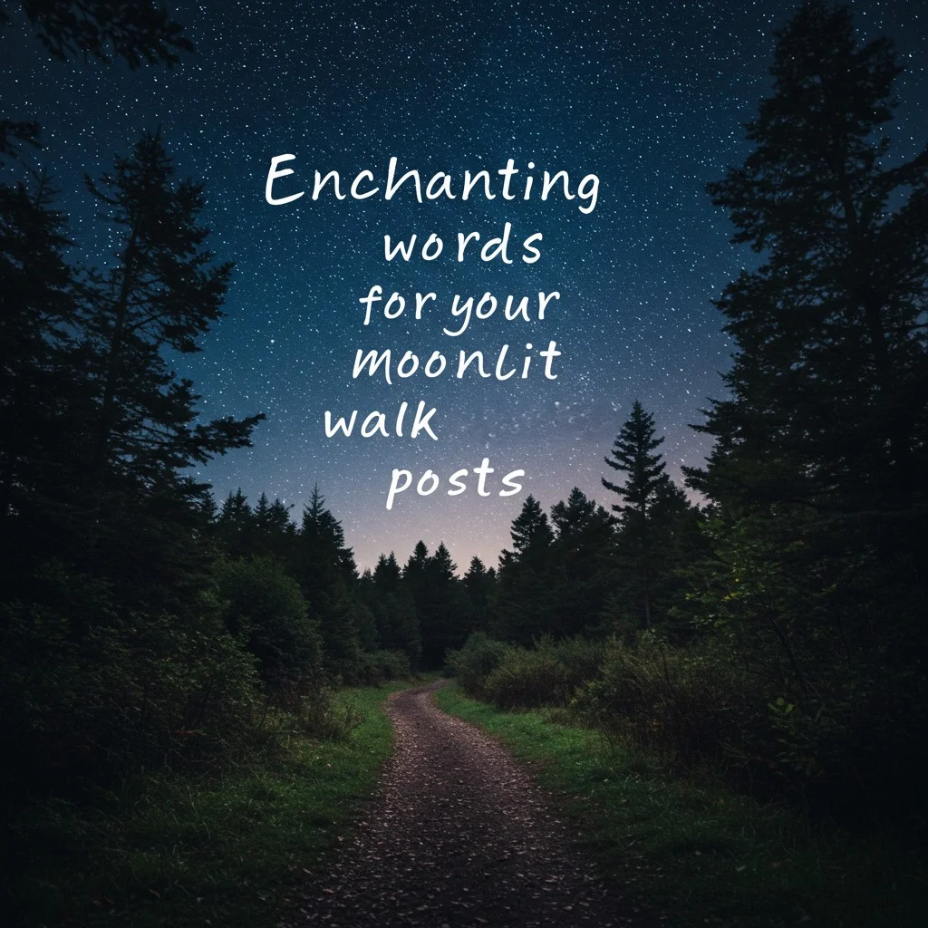 Night Walk Captions