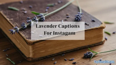 Lavender Captions for Instagram